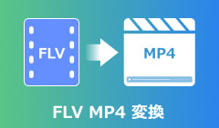FLV MP4 変換