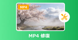 MP4 修復