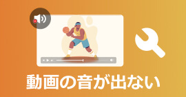 動画の音が出ない
