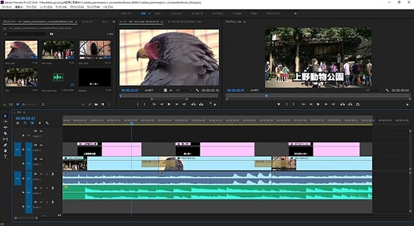 Adobe Premiere